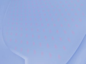 网站关键词优化中的页面结构优化